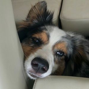 Meet your Posher, Ann